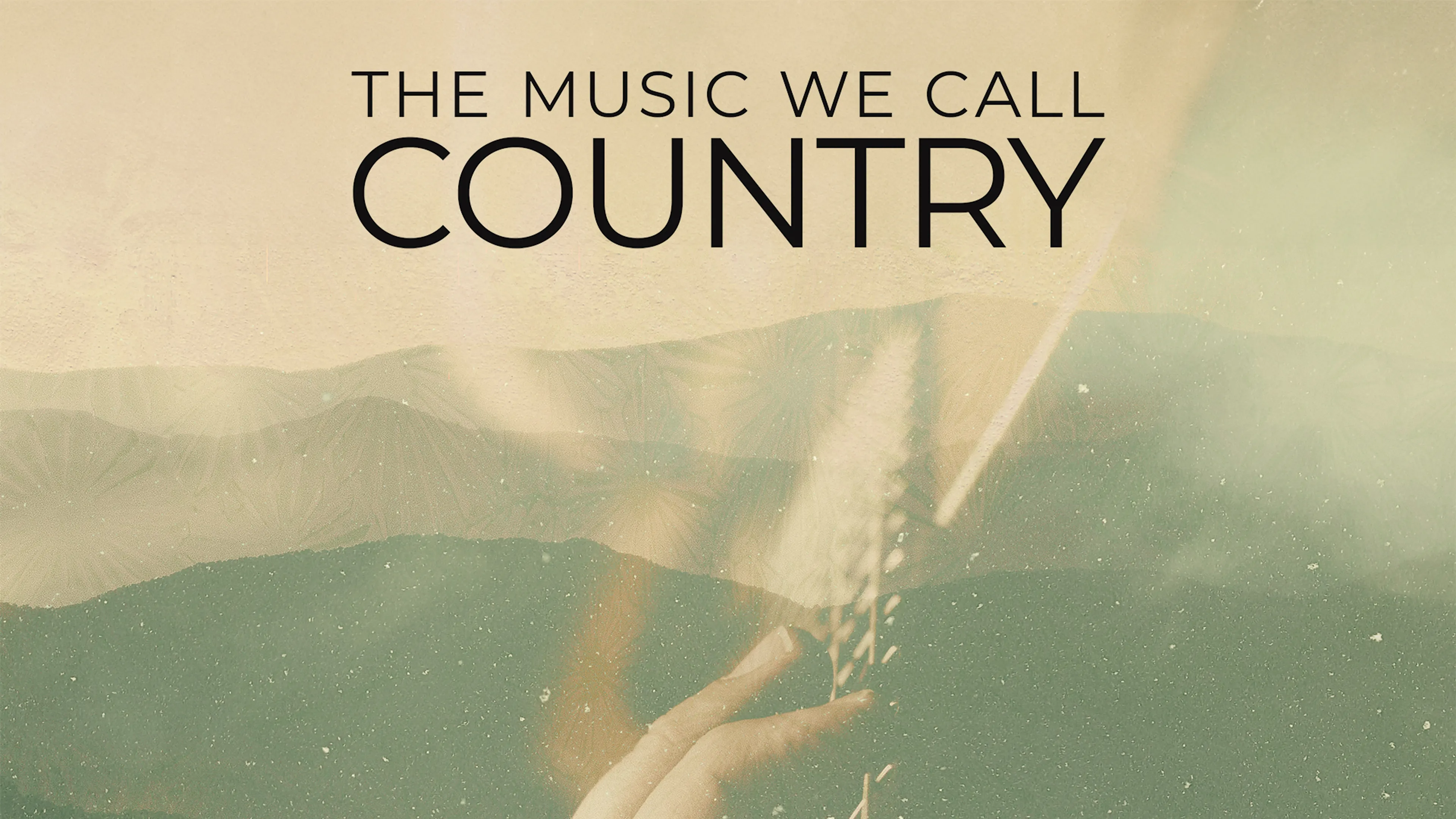 The Music We Call Country poster